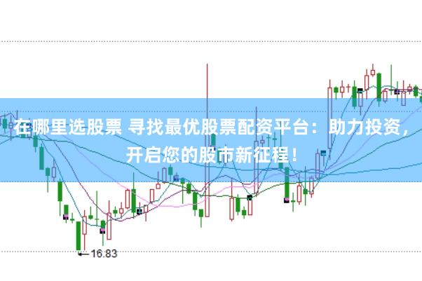 在哪里选股票 寻找最优股票配资平台：助力投资，开启您的股市新征程！