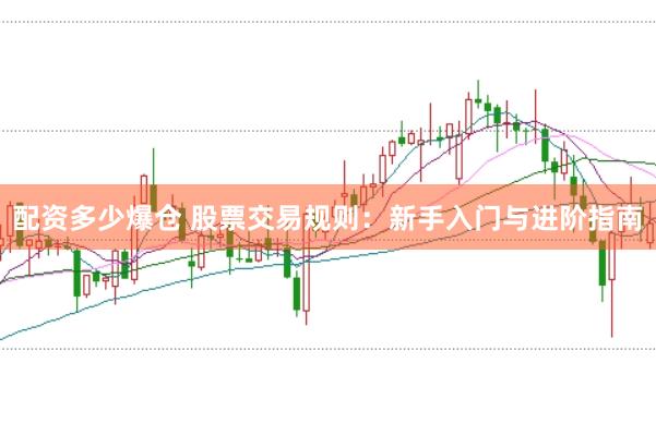 配资多少爆仓 股票交易规则：新手入门与进阶指南