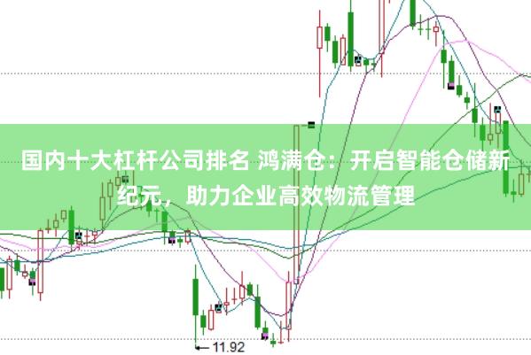国内十大杠杆公司排名 鸿满仓：开启智能仓储新纪元，助力企业高效物流管理