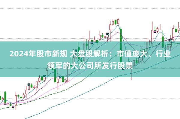 2024年股市新规 大盘股解析：市值庞大、行业领军的大公司所发行股票