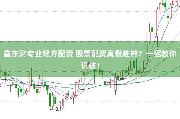 鑫东财专业杨方配资 股票配资真假难辨？一招教你识破！