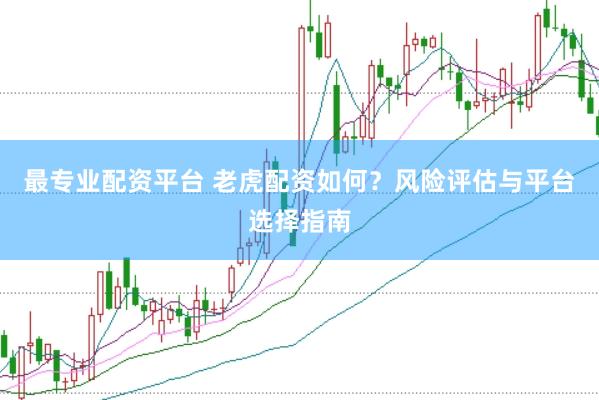 最专业配资平台 老虎配资如何？风险评估与平台选择指南