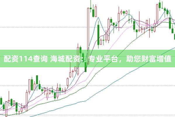 配资114查询 海城配资：专业平台，助您财富增值