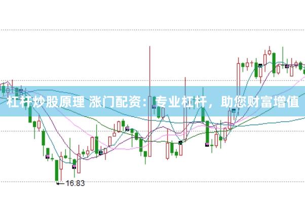 杠杆炒股原理 涨门配资：专业杠杆，助您财富增值