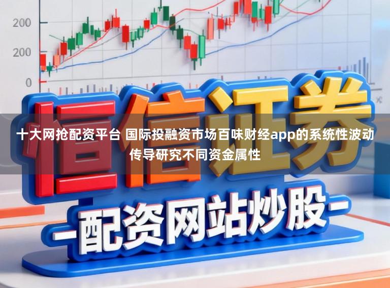 十大网抢配资平台 国际投融资市场百味财经app的系统性波动传导研究不同资金属性