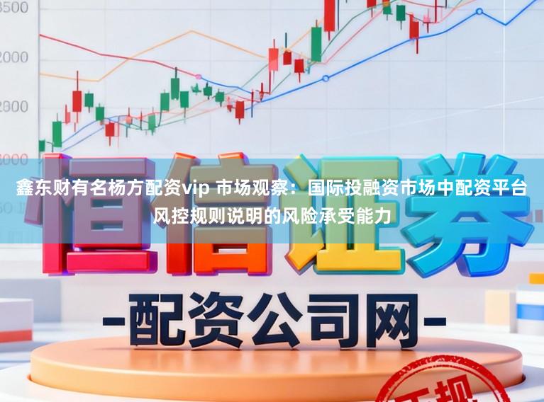 鑫东财有名杨方配资vip 市场观察：国际投融资市场中配资平台风控规则说明的风险承受能力
